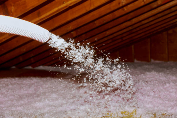 Best Local Insulation Services  in Carlsbad, NM
