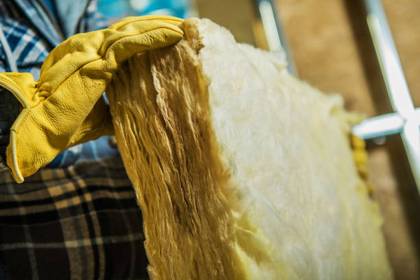 Best Crawl Space Insulation  in Carlsbad, NM