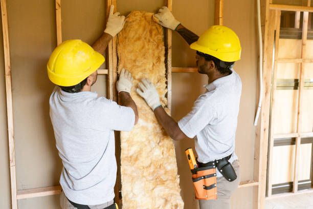 Best Soundproof Insulation Installation  in Carlsbad, NM
