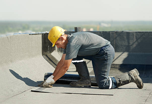 Best Spray Foam Insulation  in Carlsbad, NM