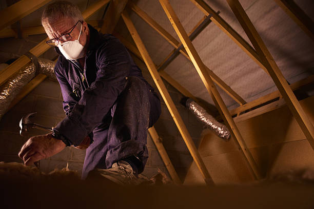 Best Professional Insulation Contractor  in Carlsbad, NM