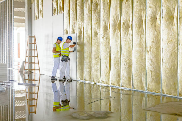Soundproof Insulation Installation in Carlsbad, NM